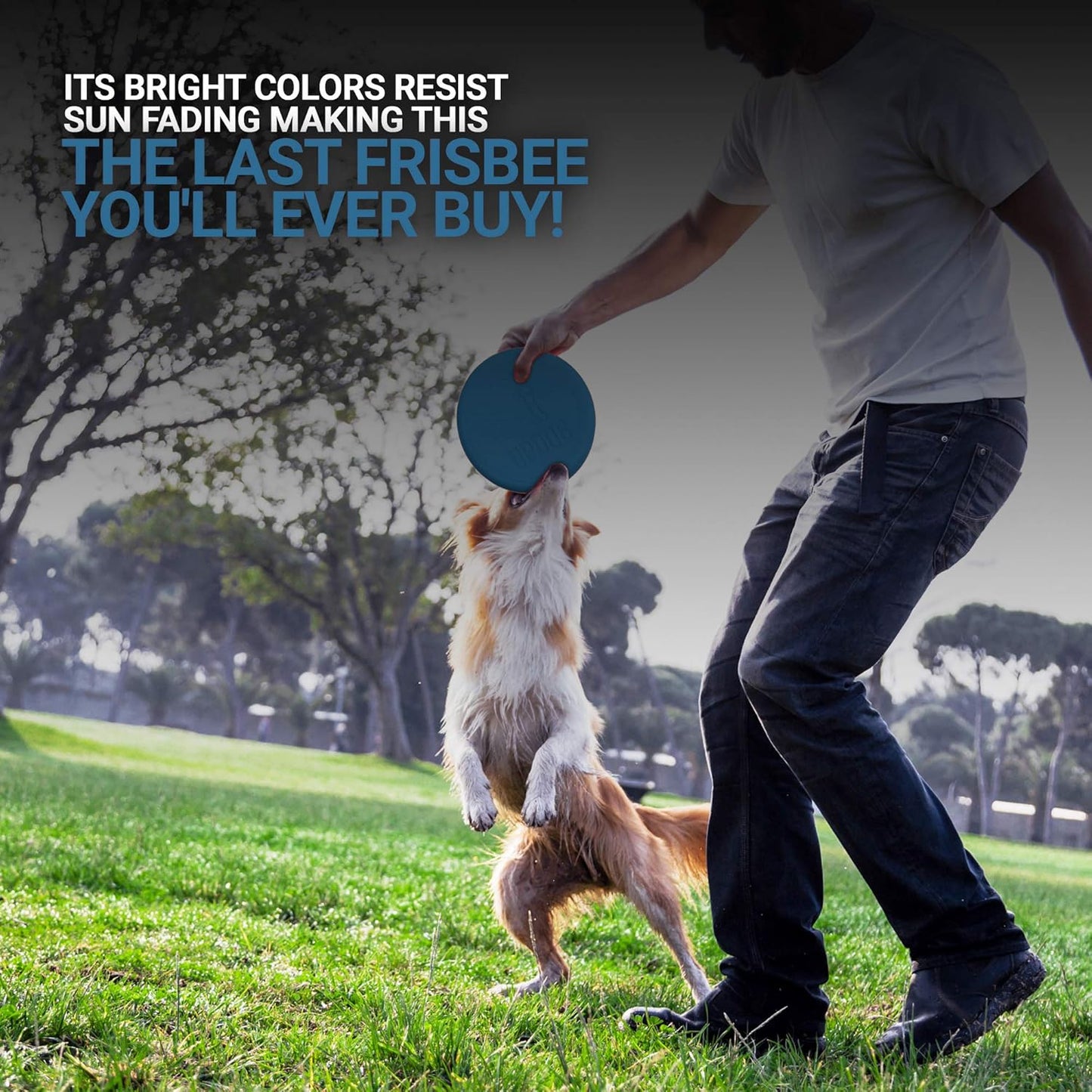 Dog Frisbee | Made in USA | Small 6-Inch Flying Disc for Dogs (Blue)