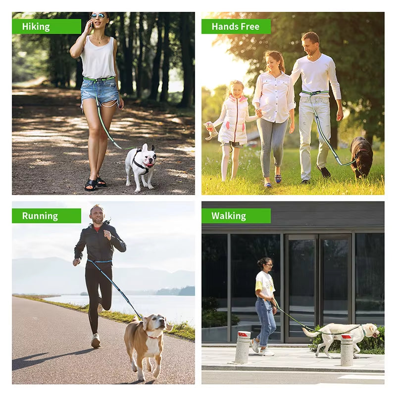 Hands Free High Qulity Retractable Hands Free Dog Leash for Running Dual Handle Bungee Leash Reflective for Large Pet Supplies