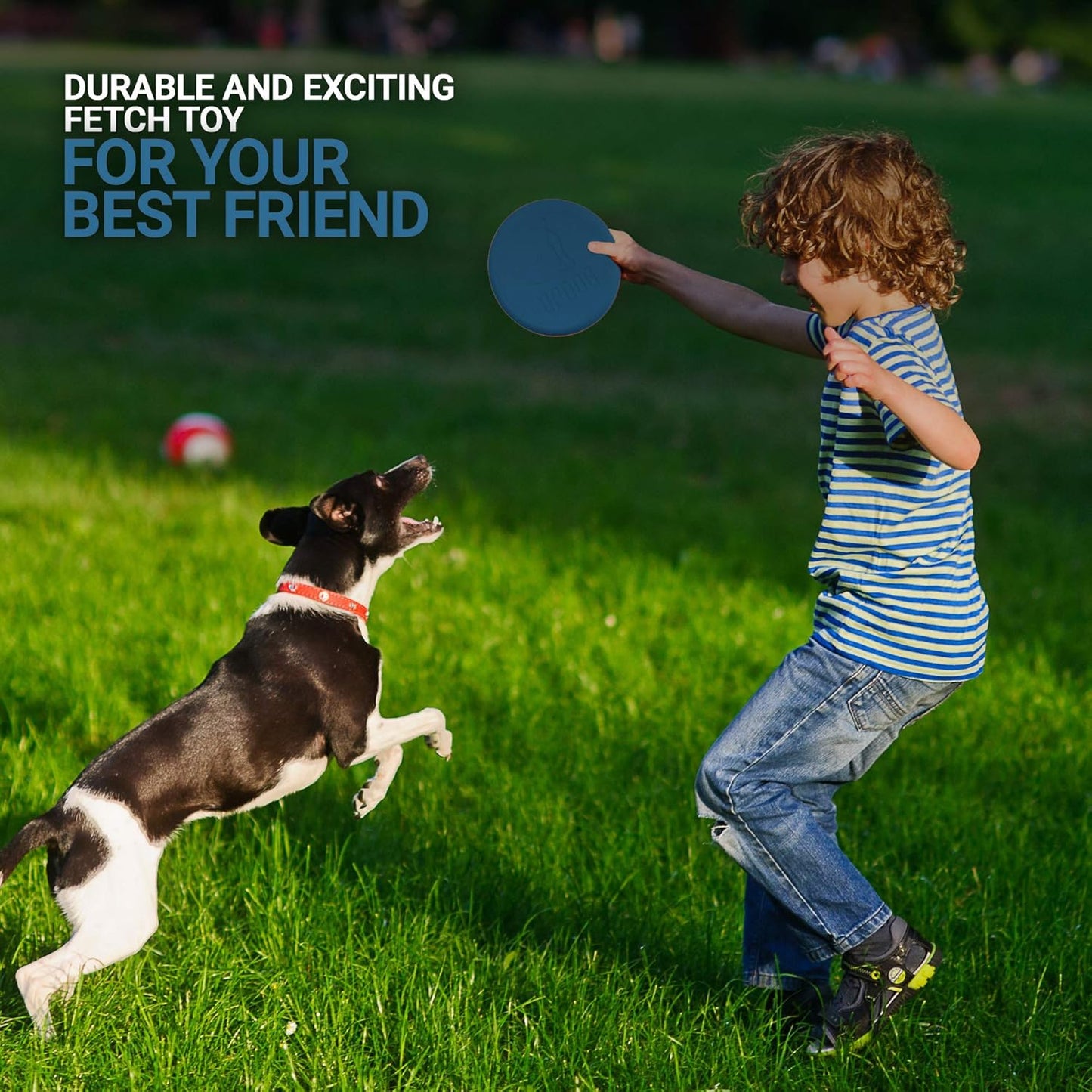 Dog Frisbee | Made in USA | Small 6-Inch Flying Disc for Dogs (Blue)