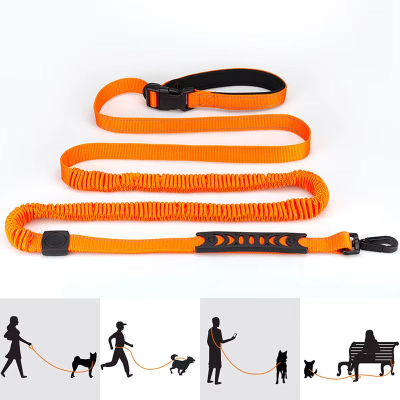 Hands Free High Qulity Retractable Hands Free Dog Leash for Running Dual Handle Bungee Leash Reflective for Large Pet Supplies