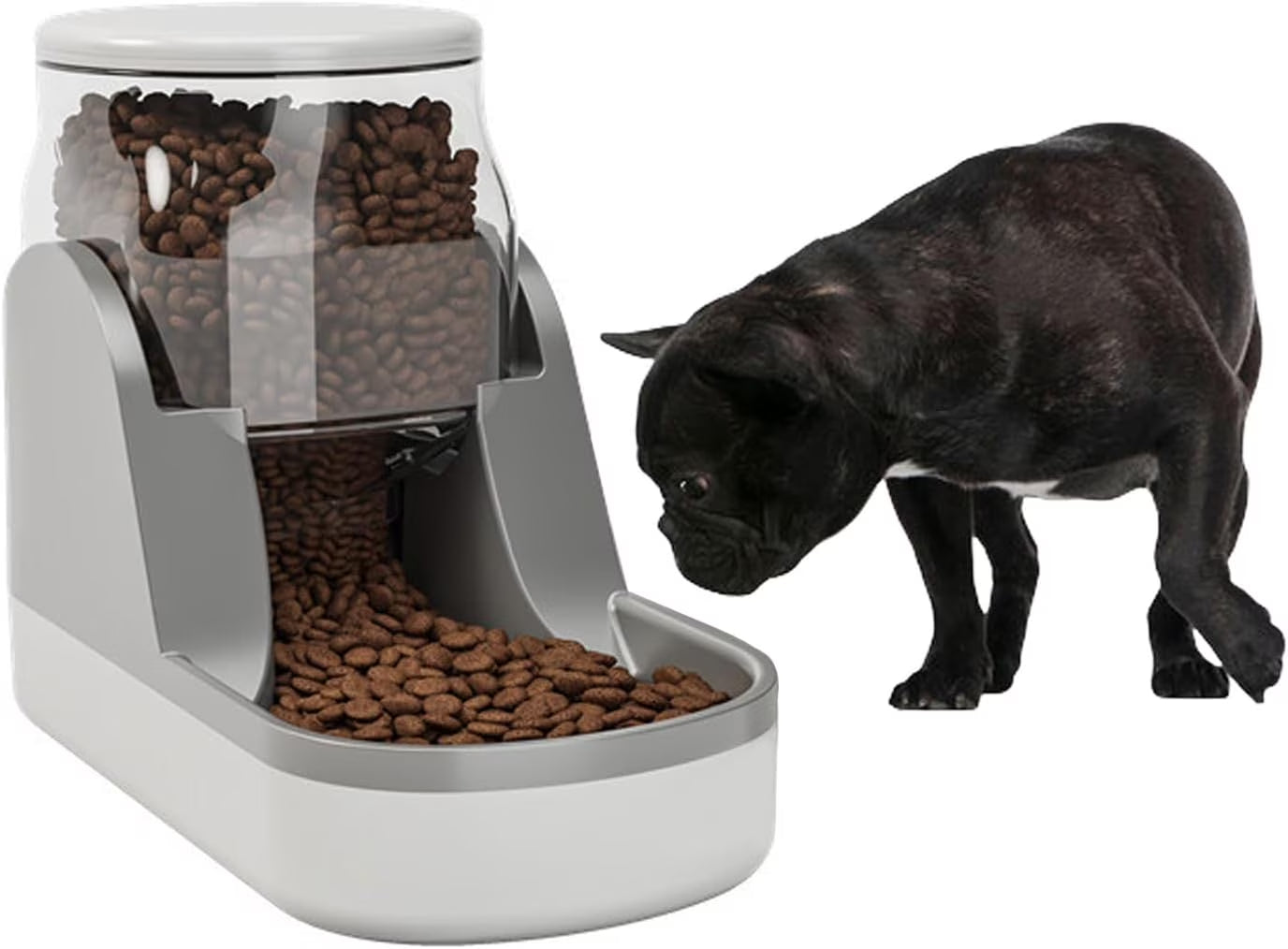 Automatic Dog Food Feeder Gravity Cat Food Dispenser Large Capacity Pet Self Feeding Station Bowl Dish for Small and Medium Dogs Cats,1 Gallon,Blue
