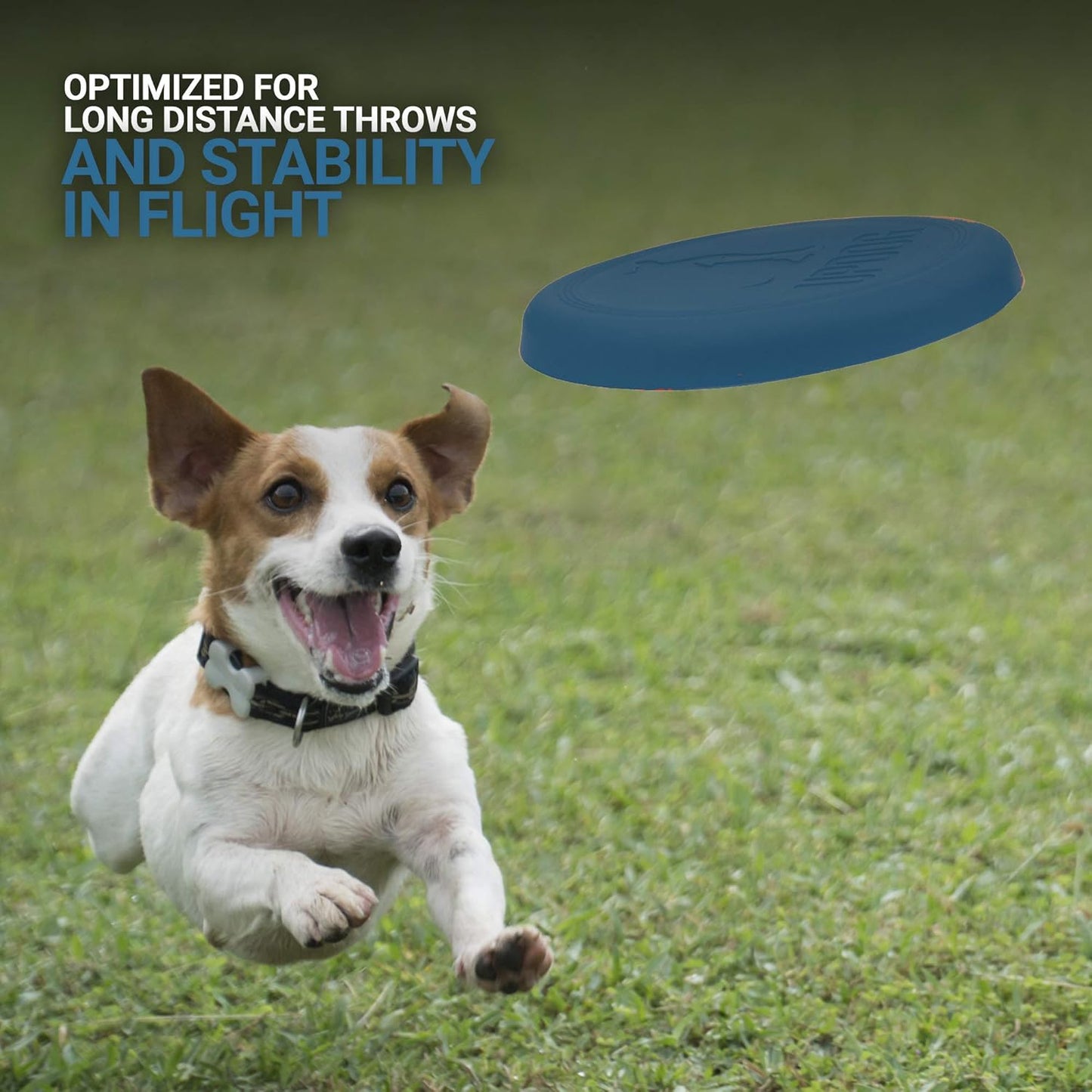 Dog Frisbee | Made in USA | Small 6-Inch Flying Disc for Dogs (Blue)