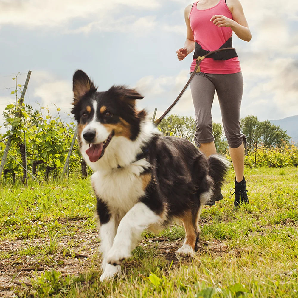 1.8M Large Dog Leash Waist Chain Traction for Running Walking Adjustment Simplicity Hands Free Dog Leash Leashes