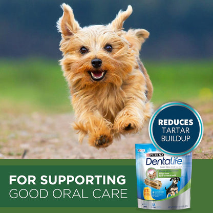 Dentalife Purina Bundle Pack Small Breed Dog Food and Treats, ONE +Plus Lamb and Rice Formula Daily Oral Care