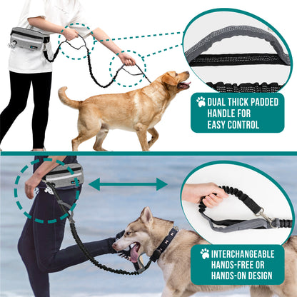 Dog Leash Belt Hands Free Running Jogging Walking Waist Pouch with Bungee Leash